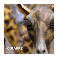 Mobiel Straattheater: Giraffe