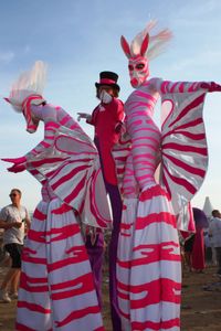 Steltenlopers Roze Zebra Paardjes Boeken Fun Factor Events