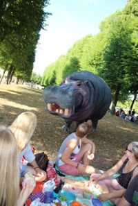 Nellie de Hippo Straattheater Act Boeken / Inhuren